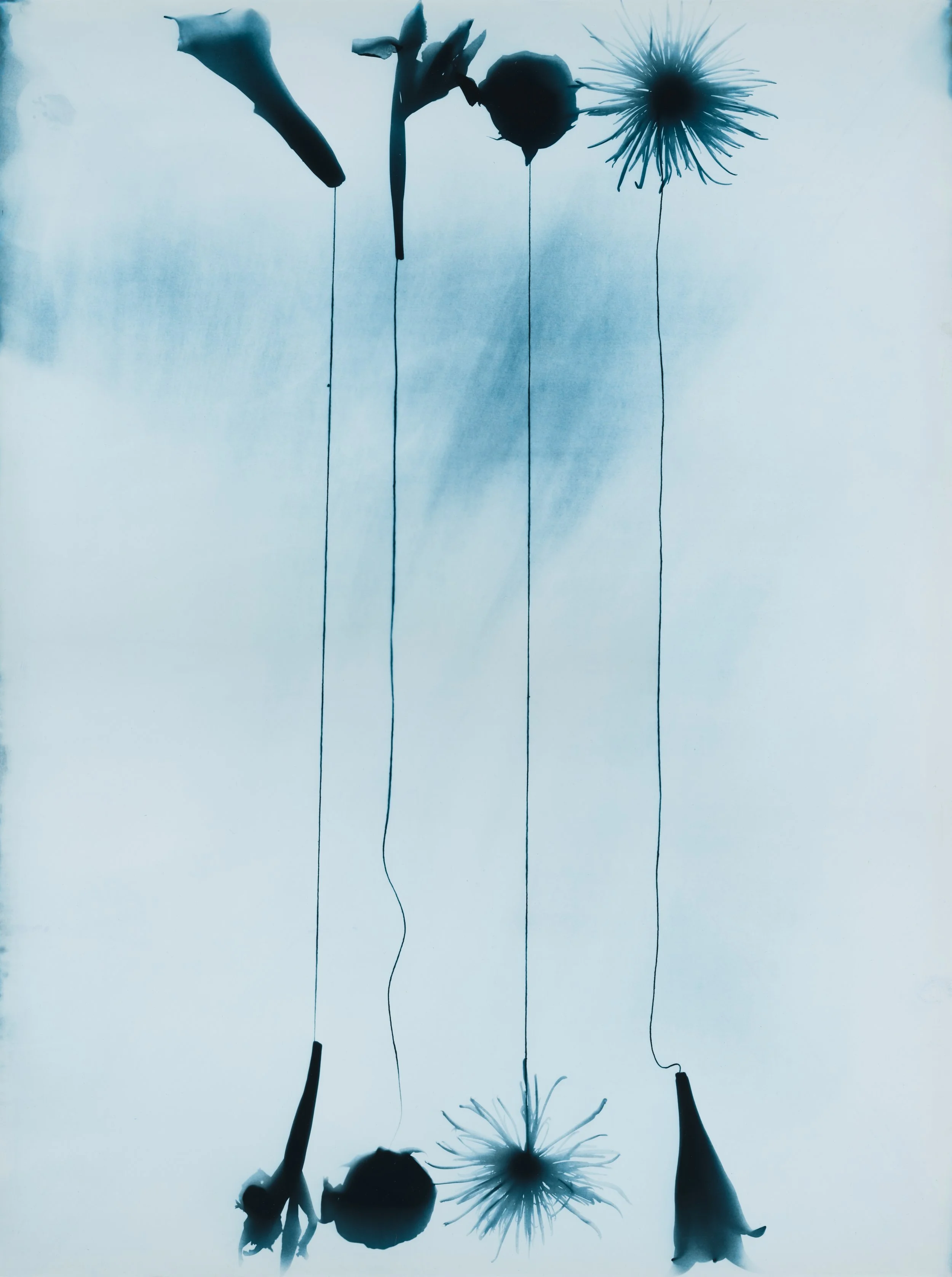 Kunié Sugiura: Photopainting | San Francisco Museum of Modern Art